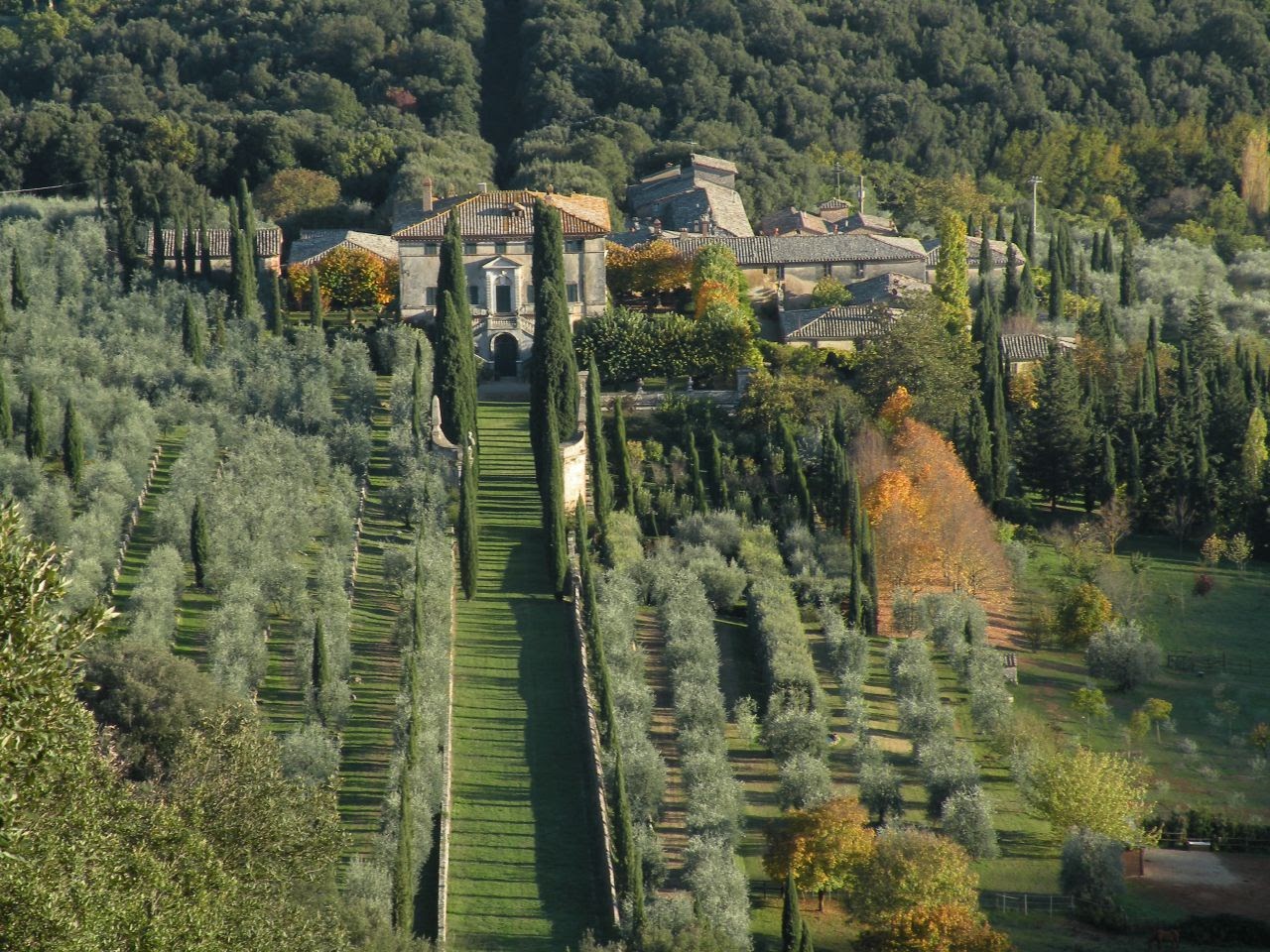 Immagine decorativa "Sopra il Muro - Cooperativa Sociale"